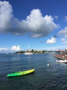 harbor